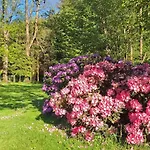 Jesionowka Farma Goworow