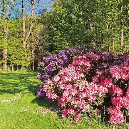 Jesionowka Farma Goworow