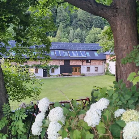 Jesionówka *