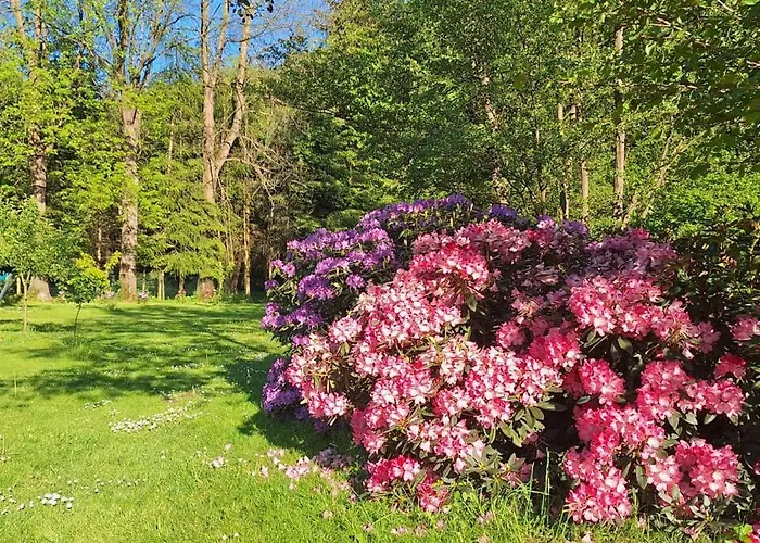 Jesionowka Çiftlik konaklama Goworow