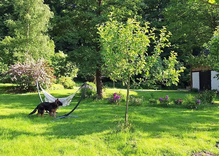 Jesionowka * Goworow