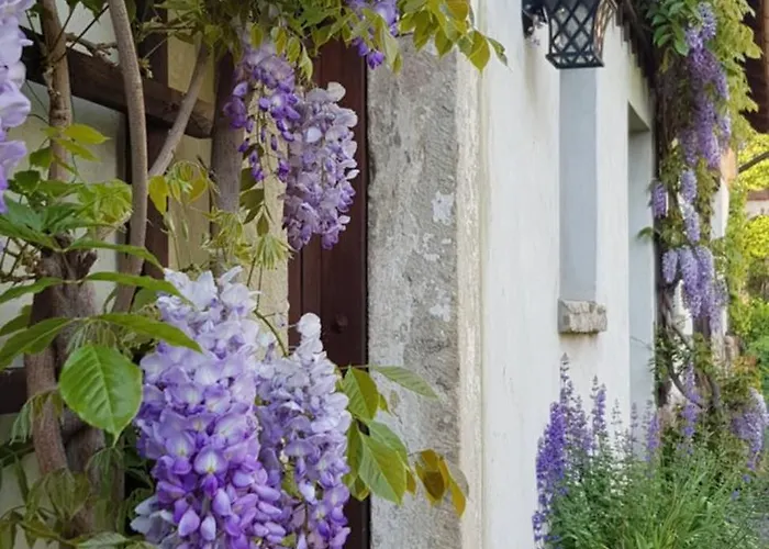 Farm stay Jesionowka *