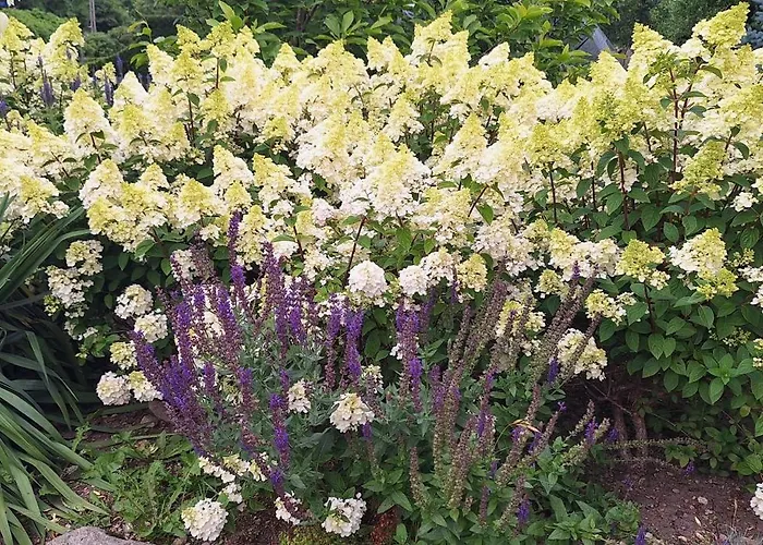 Jesionowka Farm stay *