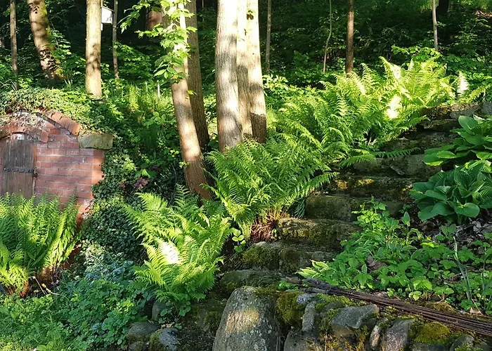 Jesionowka Farm stay